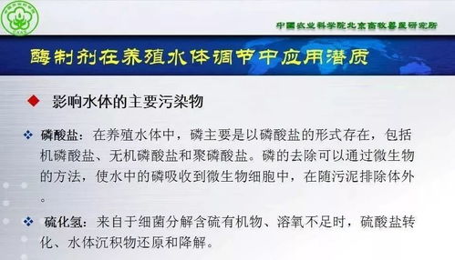 酶制劑在水產動物營養與保健方面的潛質——項目策劃與公關服務